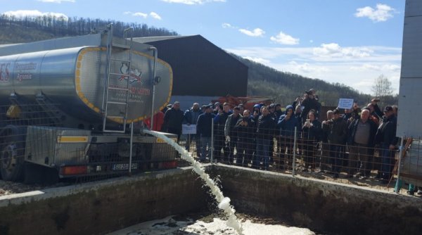 Cisternă plină cu lapte, vărsată într-o fosă: Protestul fermierilor disperați că nu mai au cui să-și vândă producția, de la 1 aprilie