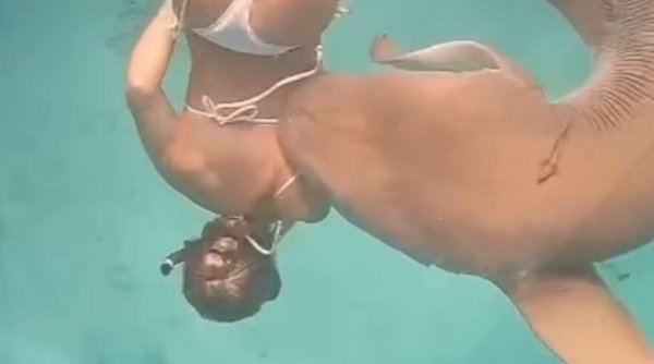 O tânără a fost mușcată de un rechin uriaș, în timp ce făcea scufundări în Maldive. Momentul a fost filmat