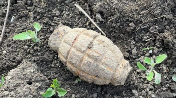 Grenadă descoperită de un bărbat în timp ce efectua lucrări agricole în grădină, în Olt