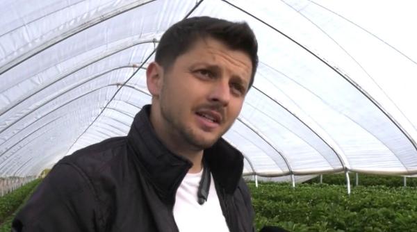 afacere roman dat lovitura capsuni kilogram 40 de lei tarabe