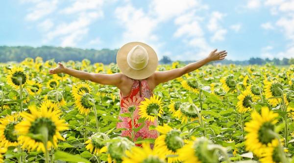 anm prognoza meteo vremea in romania temperaturi de vara