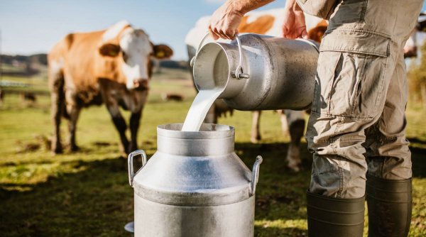 Fermierii protestează împotriva reducerii prețului la lapte. Cred că scăderea va fi suportată doar de ei
