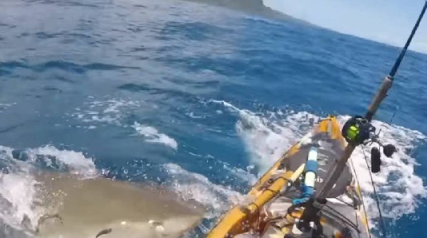 Momentul în care barca unui bărbat care se afla la pescuit este atacată de un rechin: 