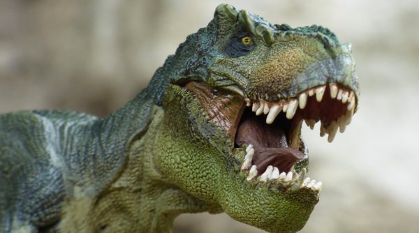 O nouă specie de dinozaur carnivor, descoperită în Spania