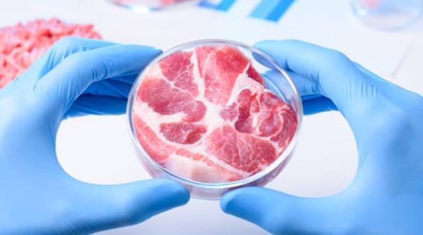 carnea produsa laborator aprobata vanzare populatie sua