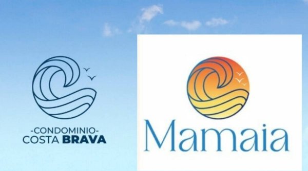 Cum a plătit, OMD Mamaia, 20.000 de euro, pe noul logo al stațiunii, unei firme din Cluj, care a luat grafica de pe un site