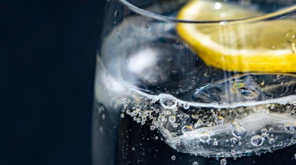 mihaela bilic apa minerala apa plata