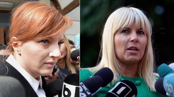 Miza pentru care au fost scăpate Elena Udrea și Ioana Băsescu. Cheia, în circuitele banilor