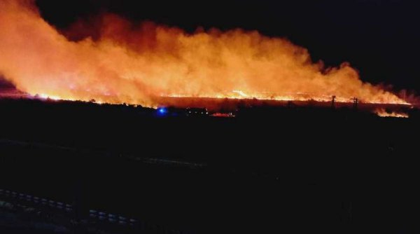 Incendiu de vegetaţie devastator în apropiere de Penitenciarul Poarta Albă, în județul Constanța