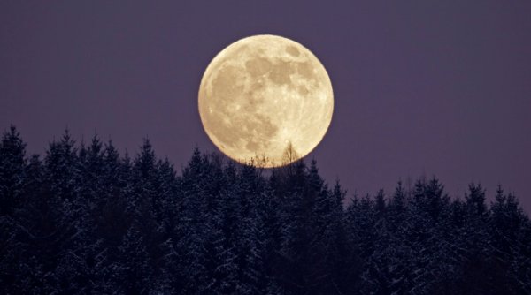 Horoscop Lună Plină în Vărsător: Descătuşare. Un nou început. Patru zodii sunt sub atenţionare!