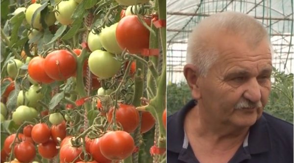 Un fermier român vinde legumele bio cu 60% mai ieftin decât în magazine. 