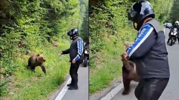Momentul în care un motociclist se oprește să hrănească un urs pe Transfăgărășan. A scăpat la limită de un atac