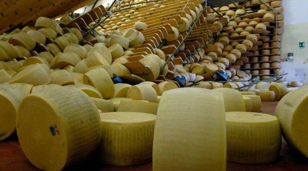 Proprietarul unei fabrici de parmezan a murit strivit sub mii de roți de brânză. Afaceriștii locali se agită să salveze marfa care l-a ucis pe proprietar, în Italia