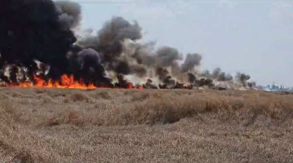 Zeci de hectare de vegetație uscată au ars în Mureș