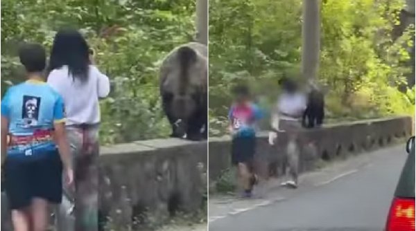 Scene la limita irealului și a tragediei | Momentul în care o mamă își duce fiul să hrănească un urs pe Transfăgărășan 