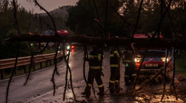 Trafic blocat complet pe DN 15, în Harghita, după ce furtuna a rupt mai mulți copaci