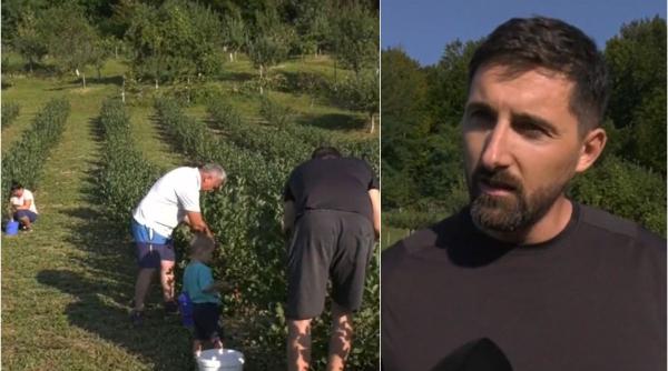 fruct poate inlocui cafea mananc 9 10 bobite dimineata energie