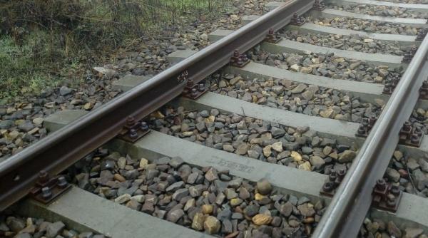 tren calatori urs lovit mortal