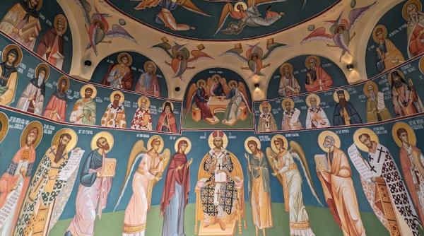 medic veterinar donatie biserica mitropolia banatului