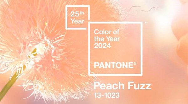 Culoarea anului 2024: Peach Fuzz