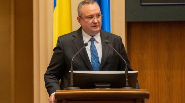 nicolae ciuca diaspora romanii