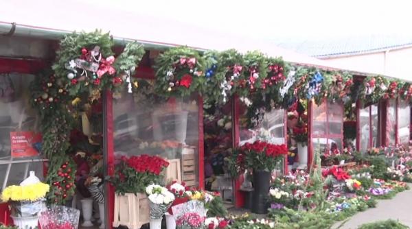 plante decoratiuni craciun craciunita vasc tisa