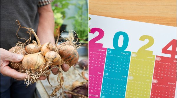 Calendarul foilor de ceapă 2024 | Prognoza meteo după metoda din bătrâni, pentru fiecare lună a noului an