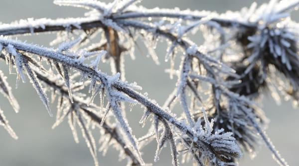 avertizare meteo anm ninsori viscol cod galben