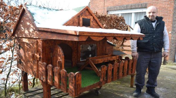 gheorghe gabriel roman belgia vile animale parcuri