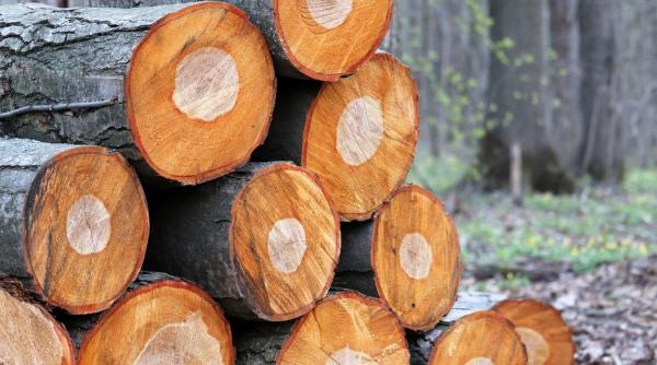 ministrul mediului sumal 2 0 vulnerabilitati