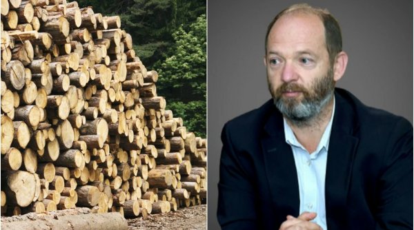 Industria lemnului se pregătește de proteste. Președintele Asociației Prolemn: 