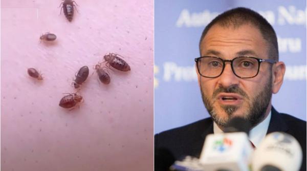 posibila infestare plosnite ikea bucuresti seful anpc mobila