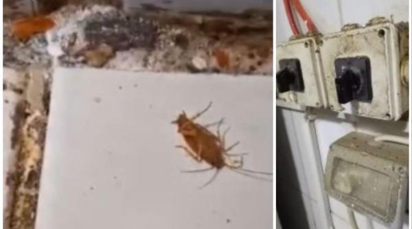 restaurant chinezesc iasi gandaci mizerie