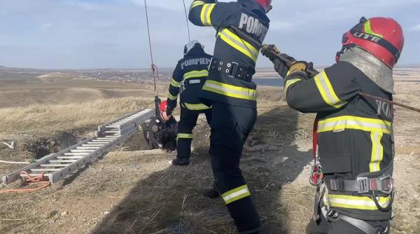 caine cazut groapa salvat pompieri tulcea