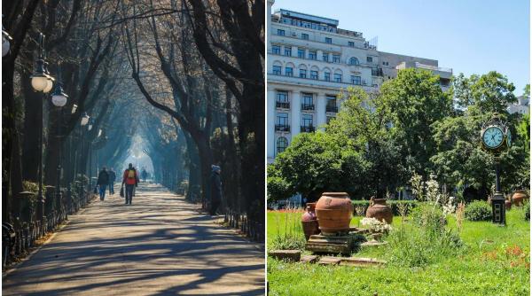 pericol parc cismigiu bucuresti copii spital boabe albastre