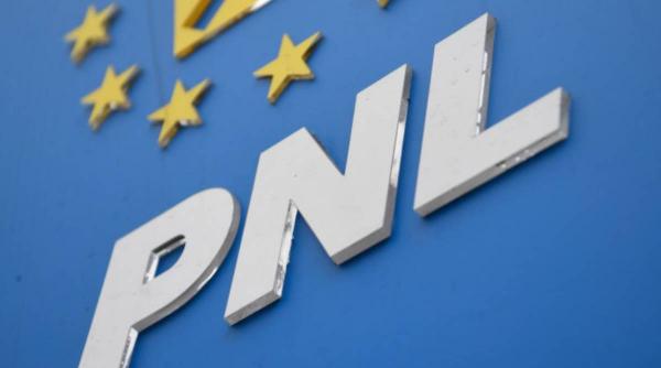 stenograme incendiare din sedinta pnl