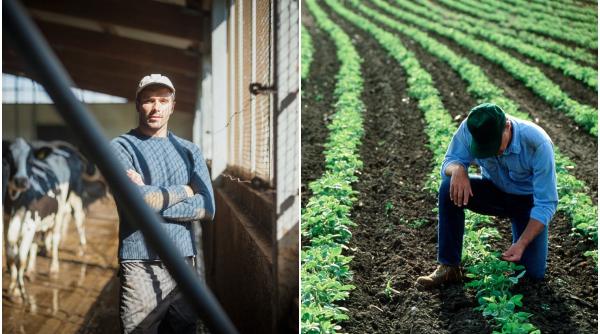 ajutor bani guvern fermieri romani anunt marcel ciolacu psd
