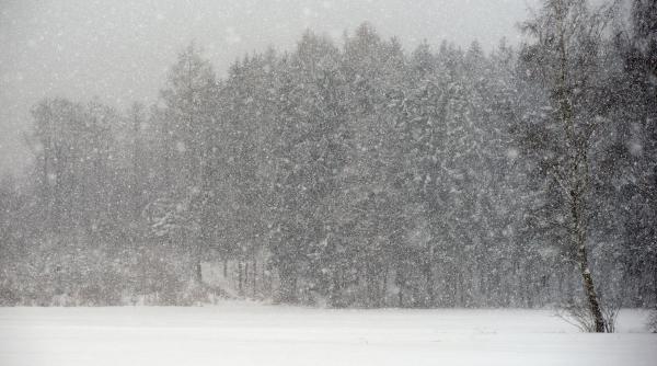 prognoza meteo 19 februarie 3 martie 2024 vremea