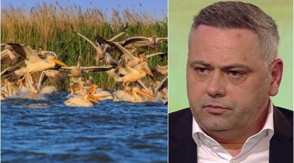 scandal psd demitere sef apia