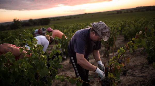 romani tinuti sclavi de romani in spania
