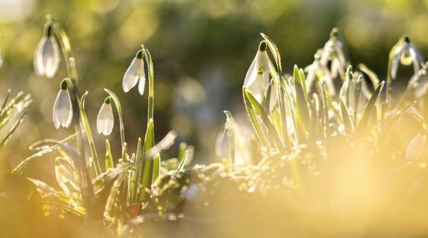 prognoza meteo anm vremea