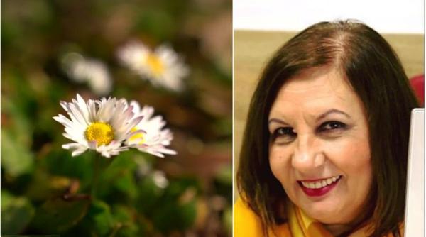 vreme martie primavara final februarie elena mateescu anm