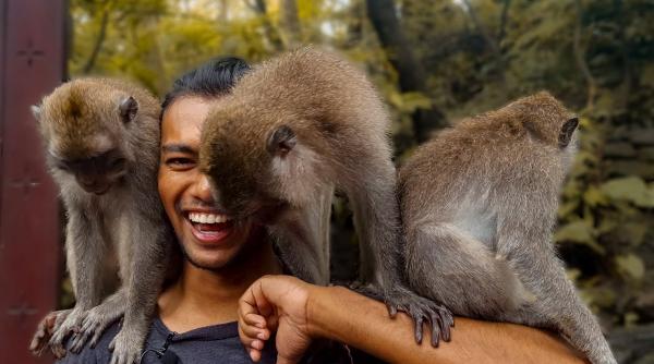 sistem fascinant romania laudata tiktok nadir blogger calatorii