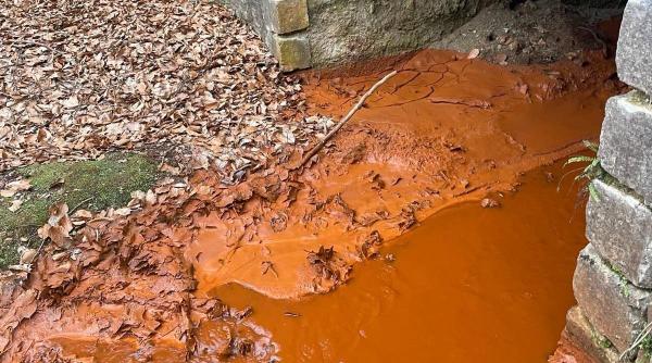 alerta in bihor ape rosii cutremur valea borod