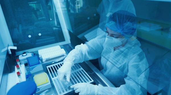 premiera romania extragere adn vegetal soi romanesc