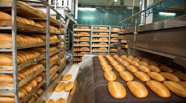 Dezastru la o fabrică de pâine din București, descoperit de inspectorii ANPC. Producţia de vineri, retrasă de la comercializare