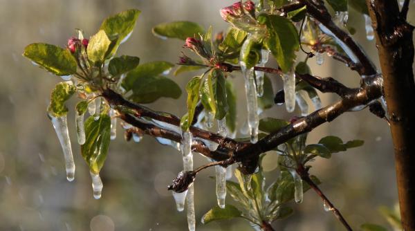 prognoza meteo anm vremea 4 17 martie 2024 prognoza meteo anm vremea 4 17 martie 2024