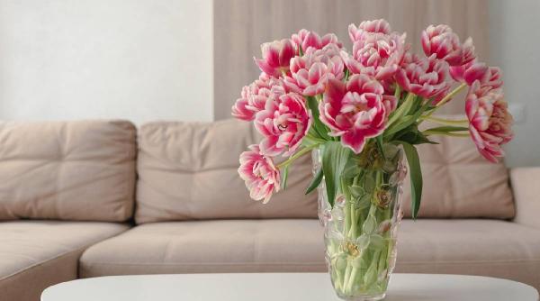 trucuri flori rezista mult vaza ingredient banal apa