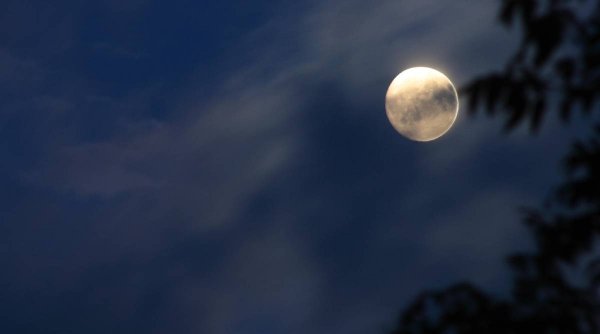 Luna Plină din martie 2024, un moment perfect pentru îndeplinirea dorinţelor. Energia specială de care putem profita cu toții
