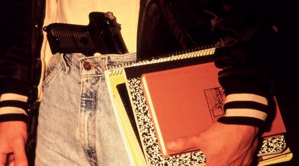 elev pistol banca scoala hunedoara razie politie